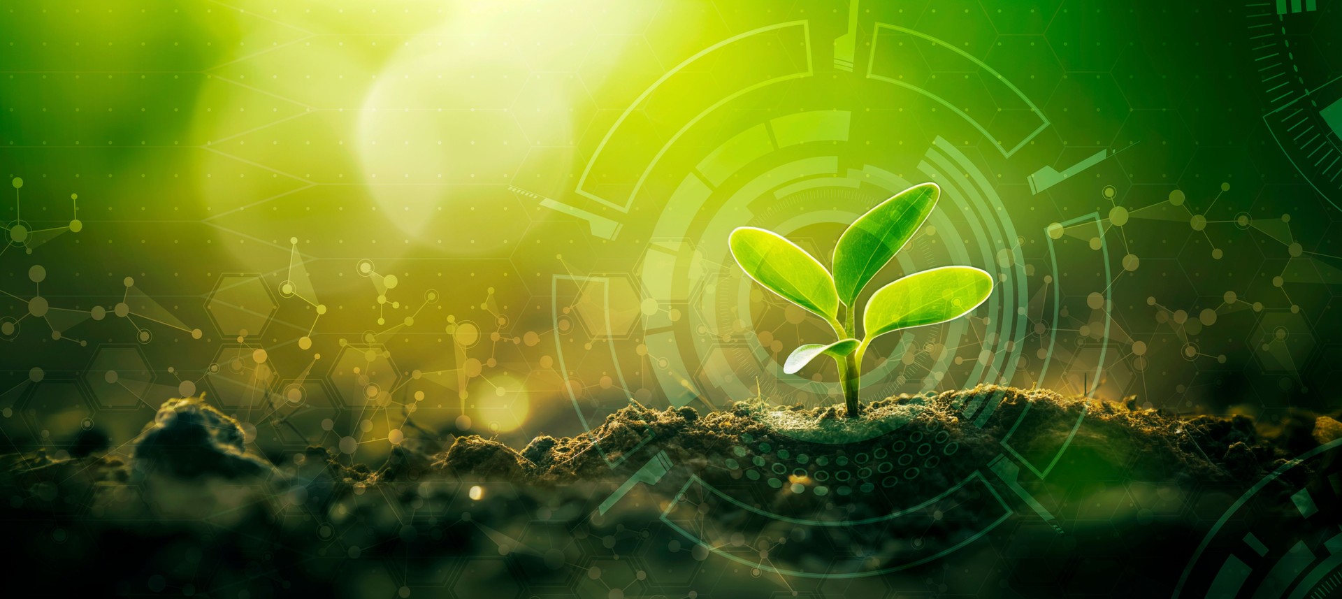 Young Sprout Agricultural Technologies Banner